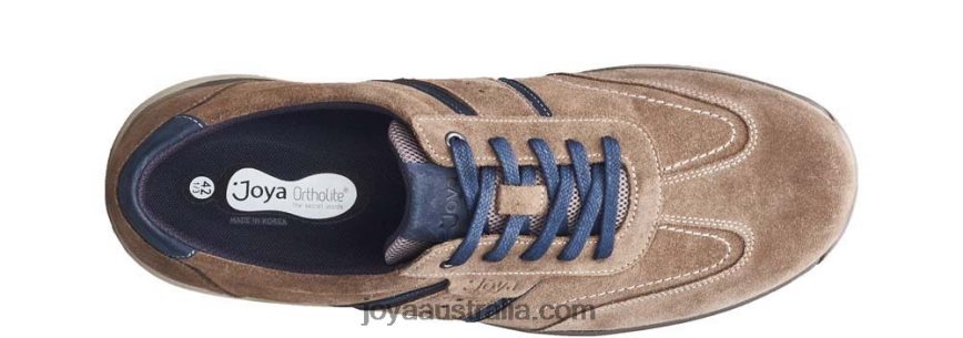 Men David Brown/Blue Joya J8044Z129