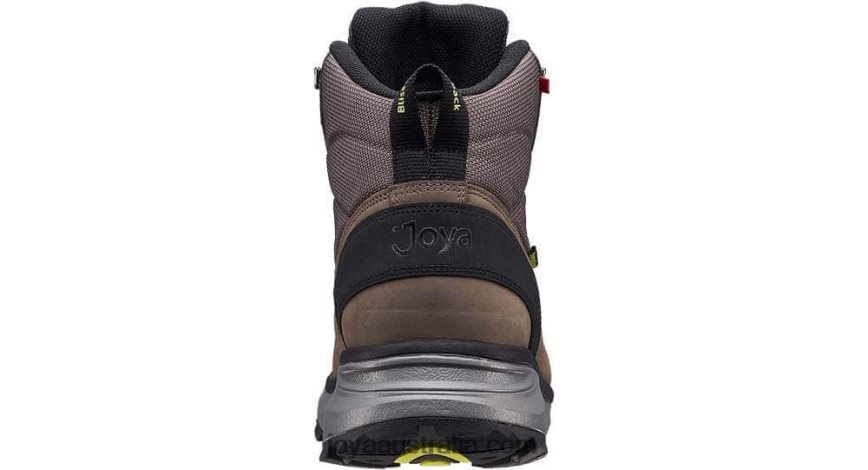 Men Altai STX Brown Joya J8044Z119