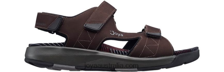 Men Alexander Dark Brown Joya J8044Z143