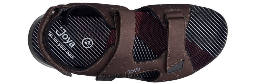 Men Alexander Dark Brown Joya J8044Z143